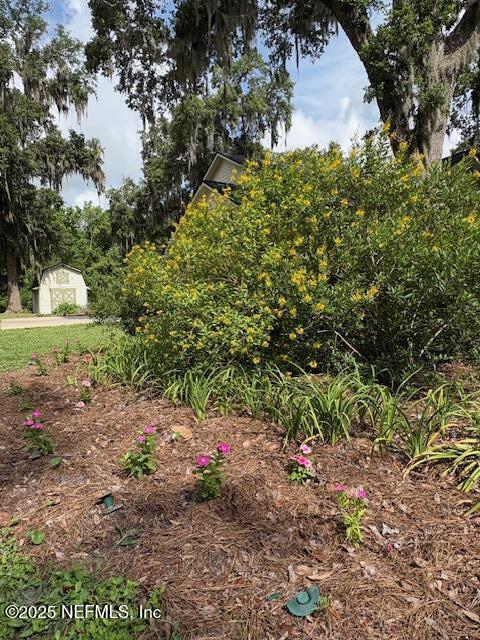 5802 Manning Cemetery Road Jacksonville, FL 32234 - Photo 108 of 117 Colorful Landscaping