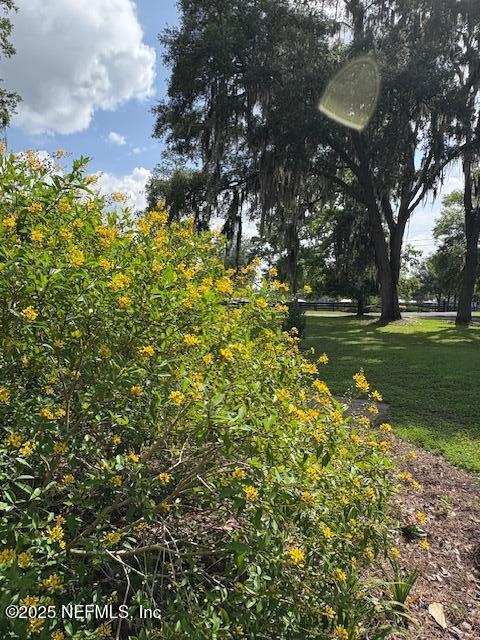 5802 Manning Cemetery Road Jacksonville, FL 32234 - Photo 109 of 117 Colorful Landscaping