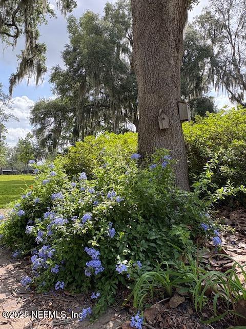 5802 Manning Cemetery Road Jacksonville, FL 32234 - Photo 110 of 117 Colorful Landscaping