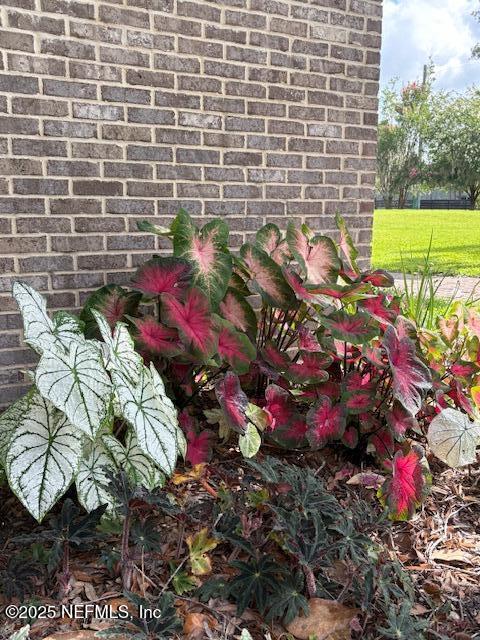 5802 Manning Cemetery Road Jacksonville, FL 32234 - Photo 111 of 117 a view of a back yard with yellow and flowers