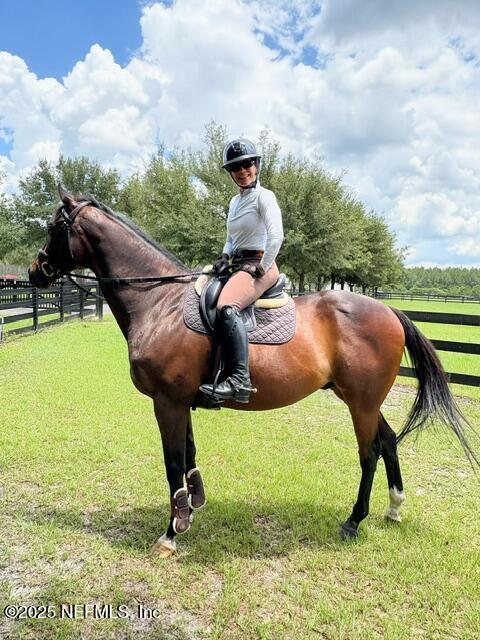 5802 Manning Cemetery Road Jacksonville, FL 32234 - Photo 114 of 117 Equestrian Community