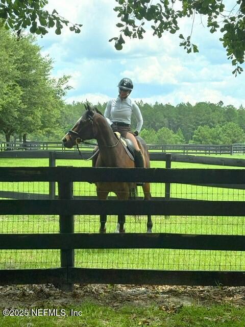 5802 Manning Cemetery Road Jacksonville, FL 32234 - Photo 115 of 117 a front view of a house with a yard