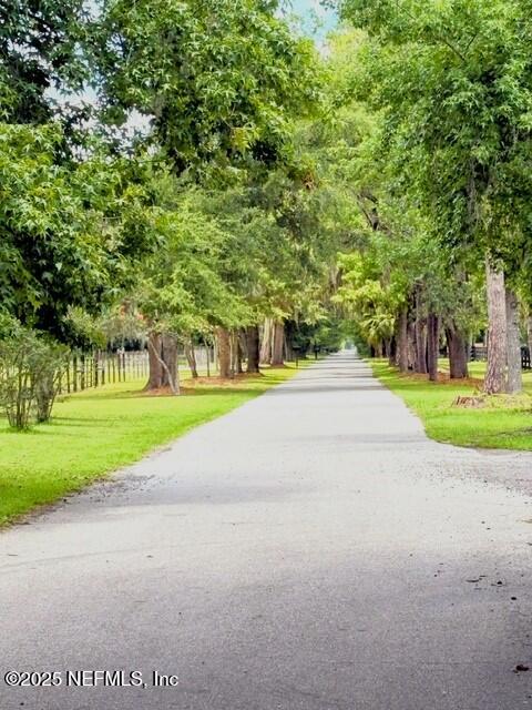 5802 Manning Cemetery Road Jacksonville, FL 32234 - Photo 6 of 117 Scenic Tree Lined Lane to Home