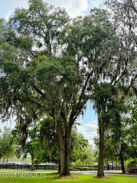 5802 Manning Cemetery Road Jacksonville, FL 32234 - Photo 73 of 117 Matured Trees