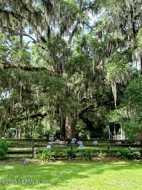5802 Manning Cemetery Road Jacksonville, FL 32234 - Photo 77 of 117 Matured Trees