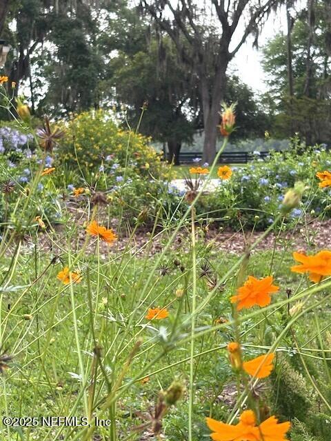 5802 Manning Cemetery Road Jacksonville, FL 32234 - Photo 82 of 117 Colorful Landscaping