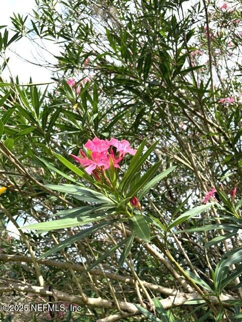 5802 Manning Cemetery Road Jacksonville, FL 32234 - Photo 92 of 117 Colorful Landscaping