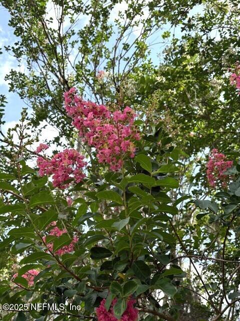 5802 Manning Cemetery Road Jacksonville, FL 32234 - Photo 95 of 117 Colorful Landscaping
