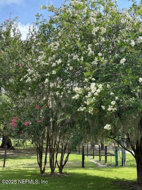 5802 Manning Cemetery Road Jacksonville, FL 32234 - Photo 96 of 117 Manning Cemetery yard 15