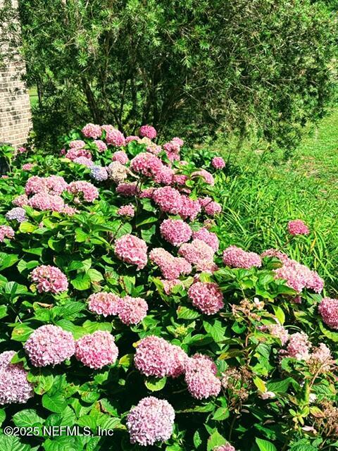 5802 Manning Cemetery Road Jacksonville, FL 32234 - Photo 99 of 117 a street view