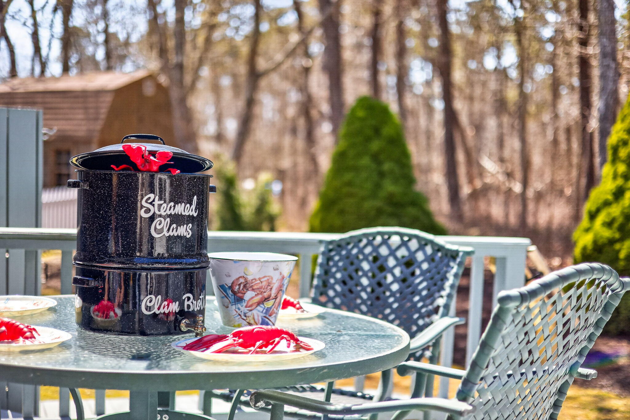 23 Dundee Circle Harwich, MA 02645 - Photo 22 of 33 a couple of table and chairs potted plants