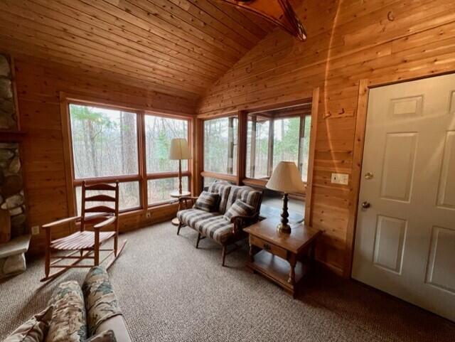 9222 Twin Bridge Road Grayling, MI 49738 - Photo 8 of 39 Gallery Image 8