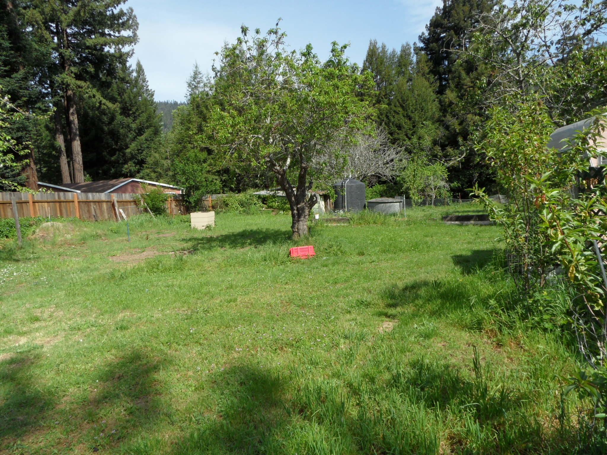 85 Stafford Road Scotia, CA 95565 - Photo 8 of 25
