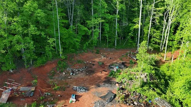 a view of a forest with trees