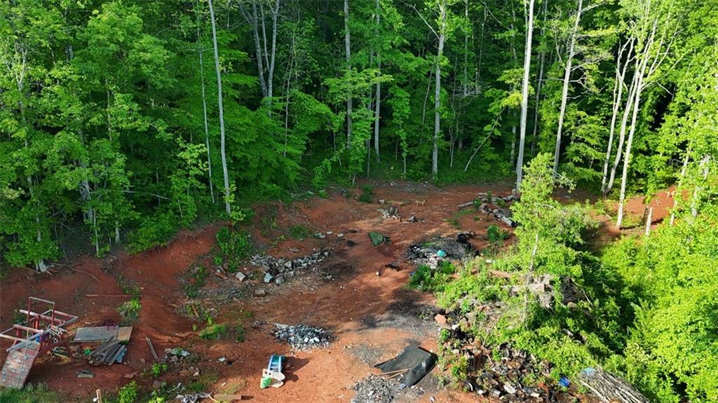 1035 Golden Road Temple, GA 30179 - Photo 2 of 4 a view of a forest with trees
