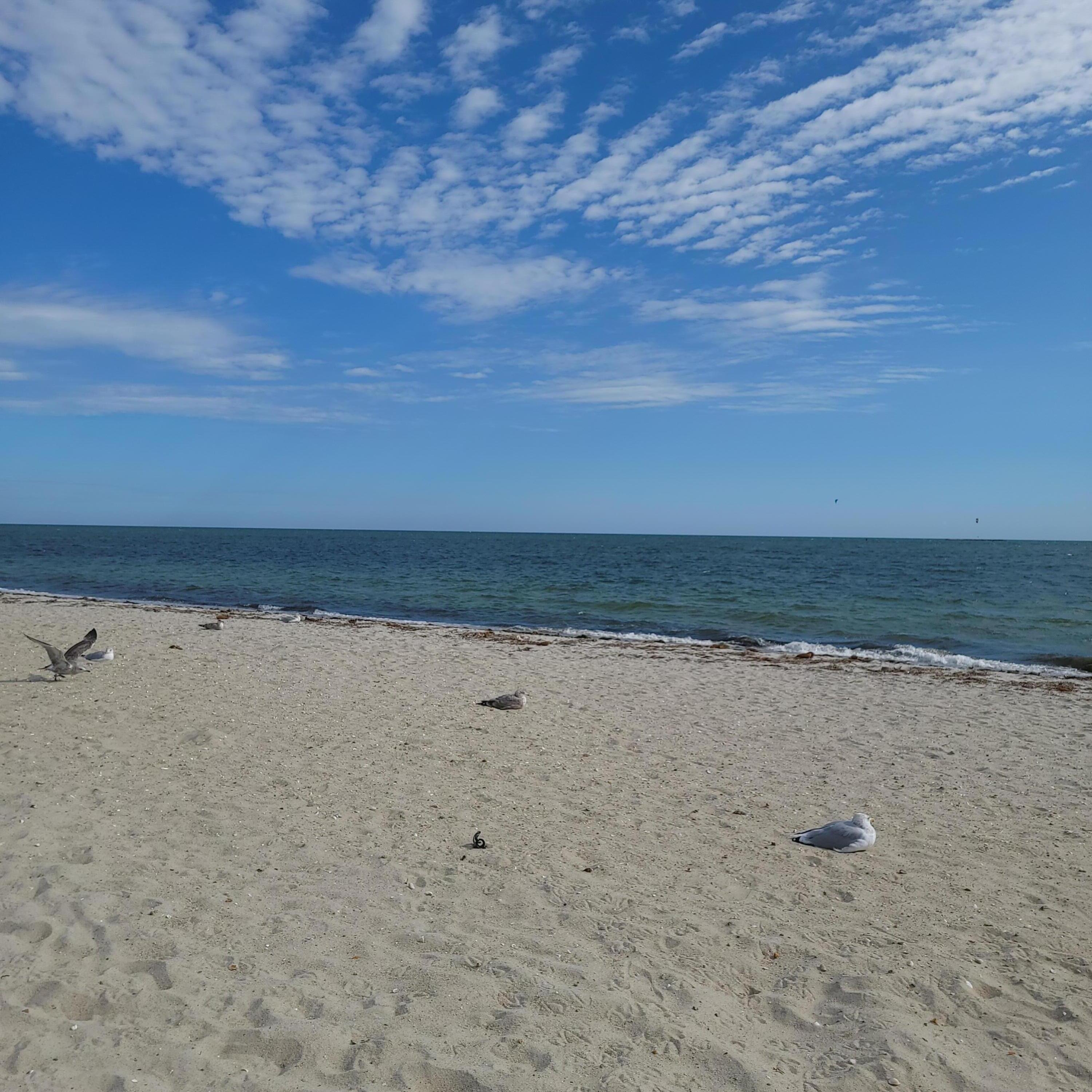 221 Upper County Road, Unit 203 Dennis Port, MA 02639 - Photo 28 of 30 10641