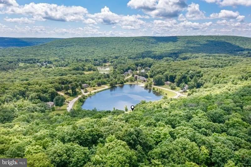 12 Upper Lake Road Oak Ridge, NJ 07438 - Photo 25 of 25 a view of a garden with an outdoor space