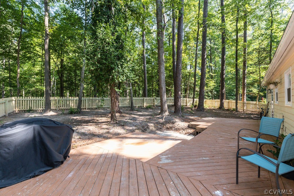 13206 Court Ridge Road Midlothian, VA 23112 - Photo 38 of 41