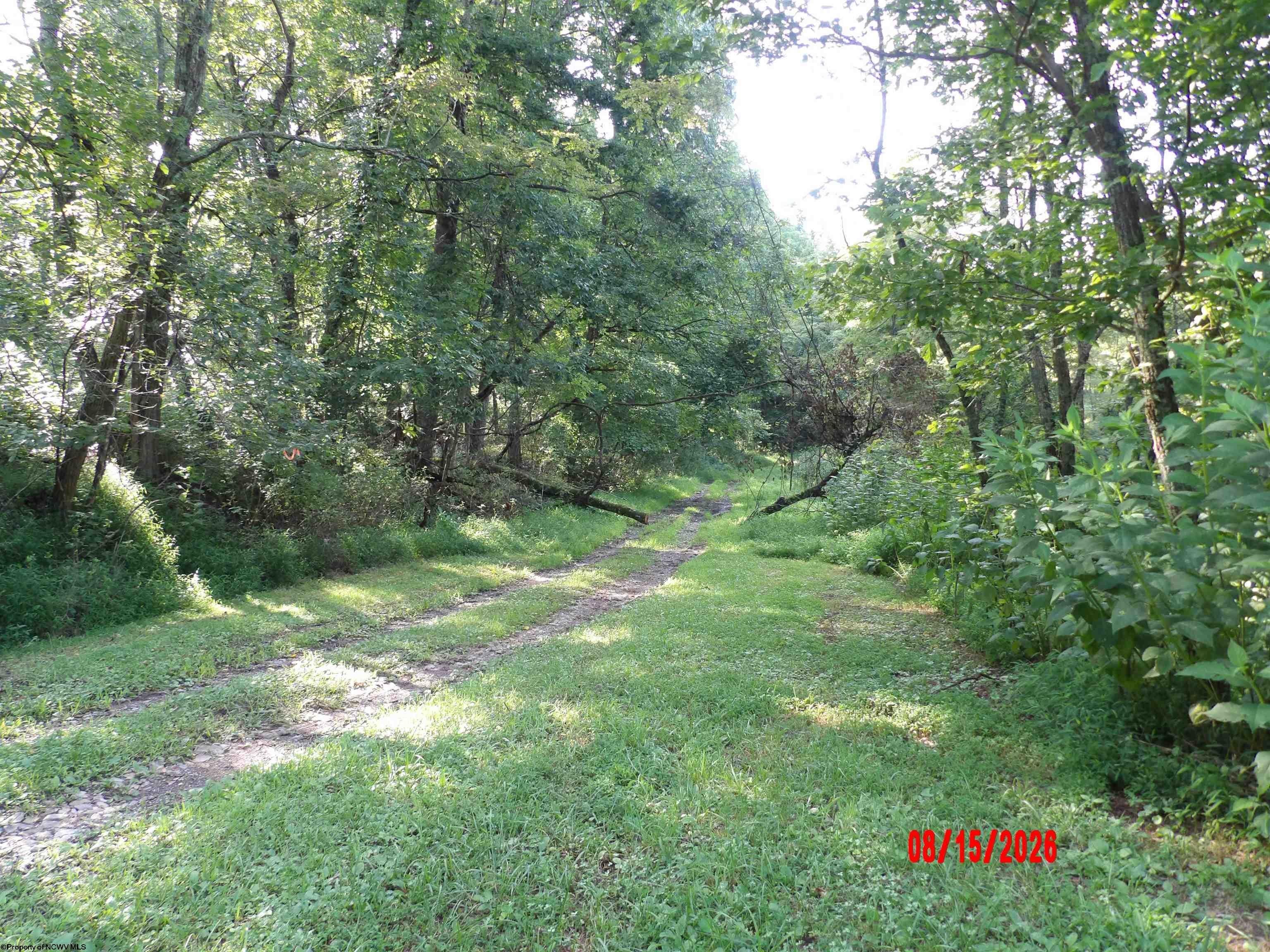941 Sammy Road Walkersville, WV 26447 - Photo 6 of 37 Gallery Image 6