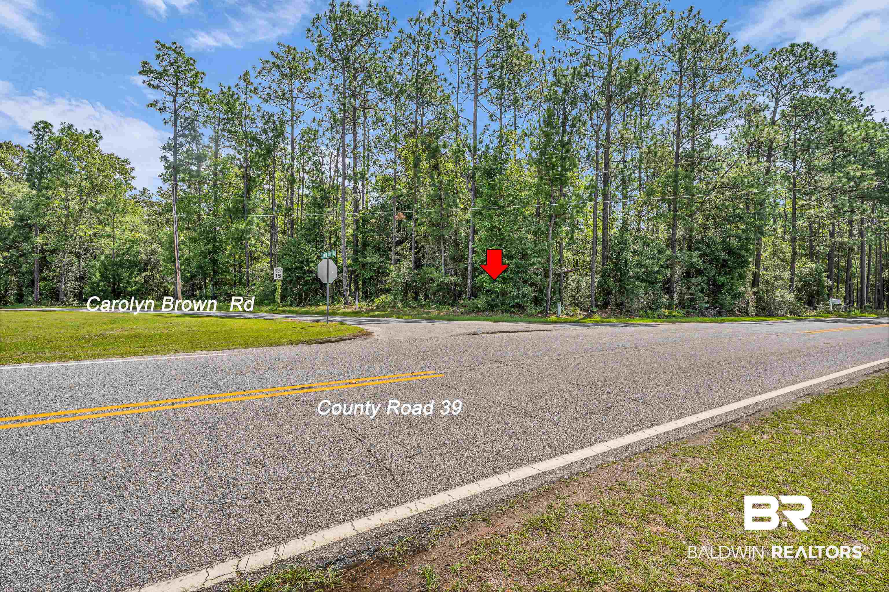 39 County Road 39 Stapleton, AL 36578 - Photo 3 of 16 View of asphalt street featuring traffic signs