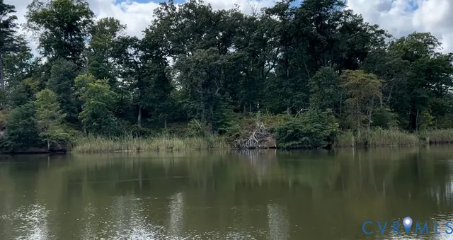 a view of swimming pool with chairs and trees