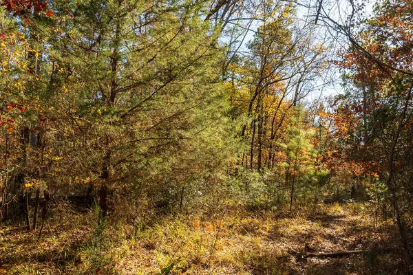 $57,000 | 23684 Farm To Market 227, Kennard, TX 75847