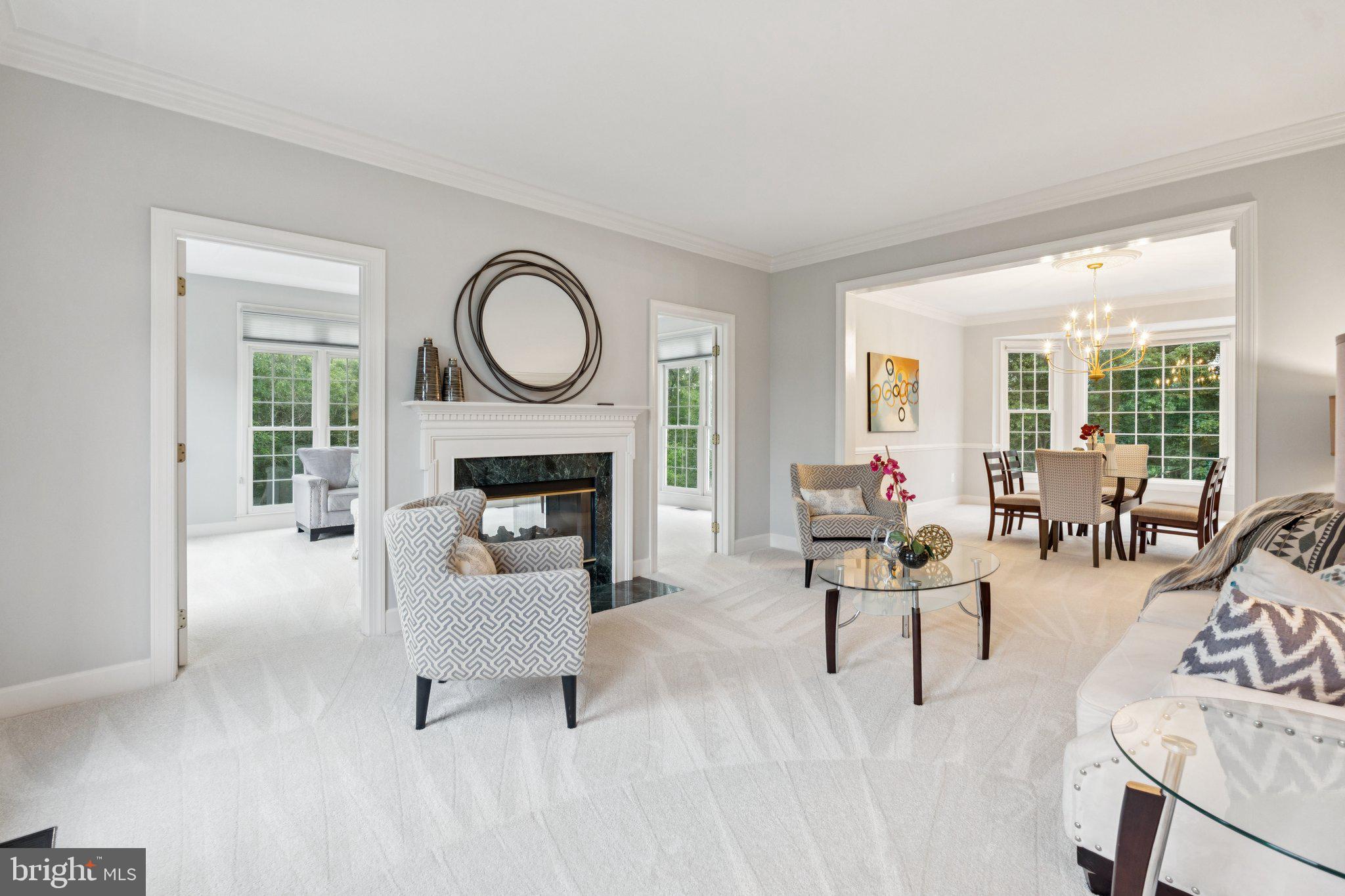 12213 Windsor Hall Way Herndon, VA 20170 - Photo 13 of 64 a living room with furniture a fireplace and a potted plant