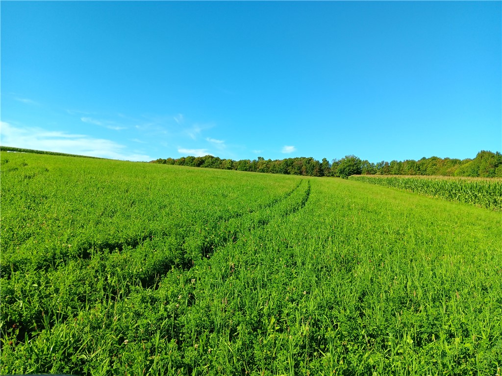 503 North Harpersfield Road Jefferson, NY 12093 - Photo 18 of 20