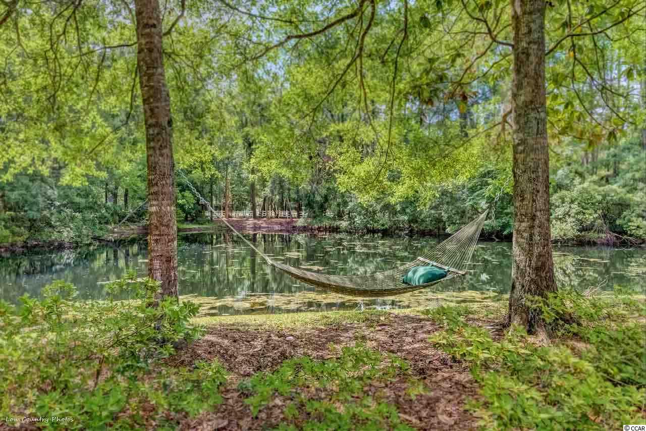 4855 Surry Lane Murrells Inlet, SC 29576 - Photo 4 of 25 Gallery Image 4