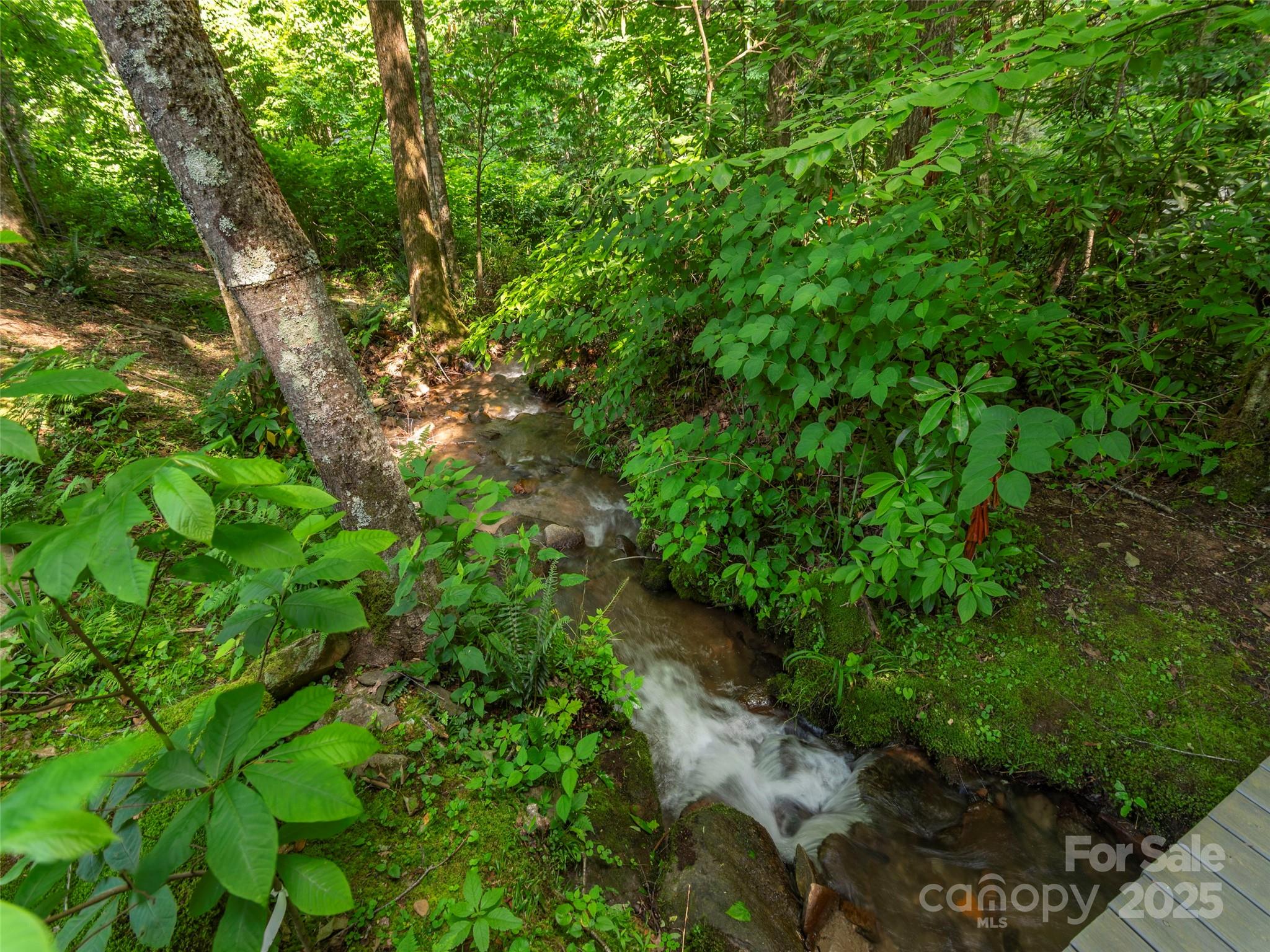 1131 Laurel Branch Road Waynesville, NC 28785 - Photo 20 of 29