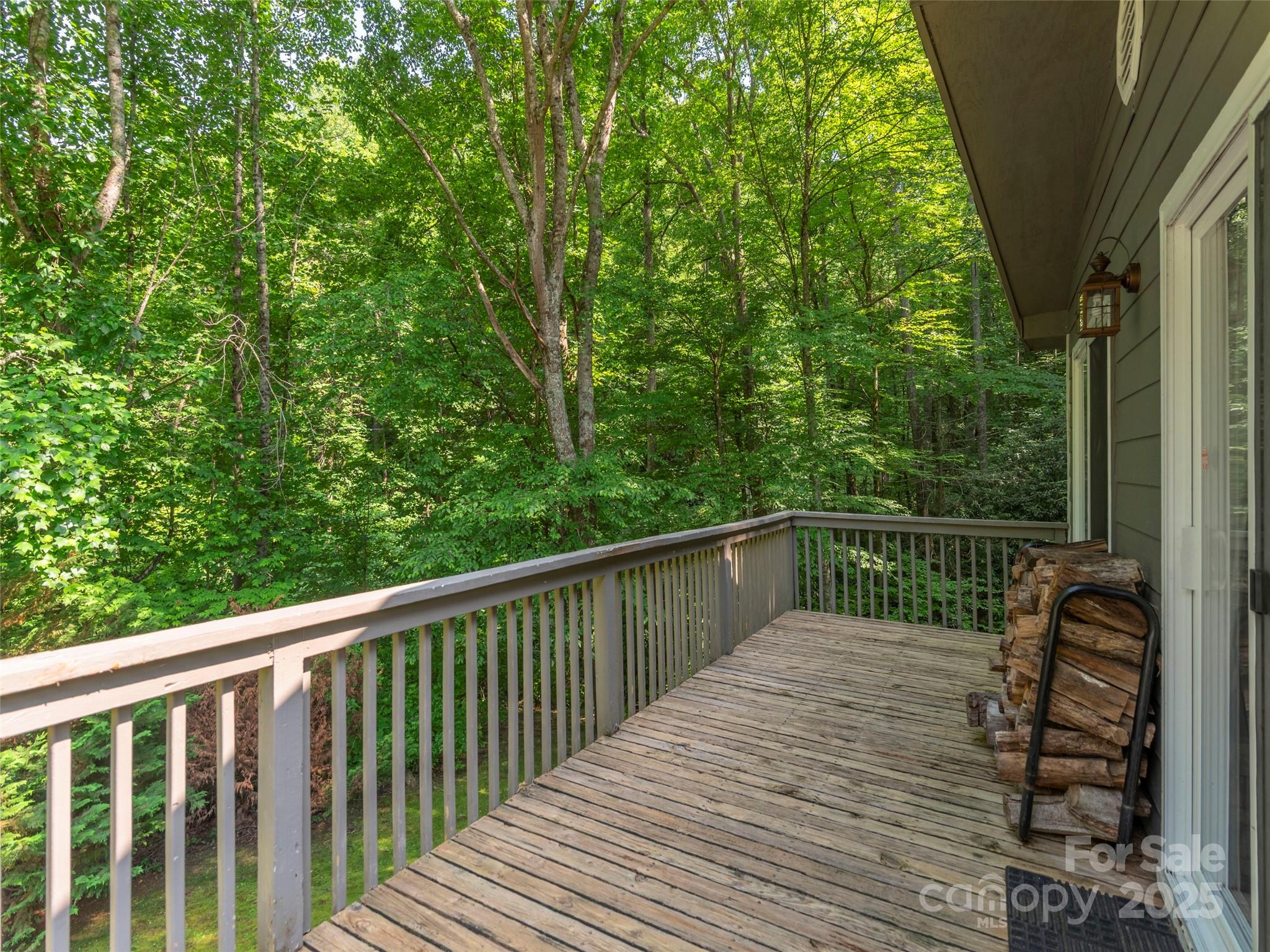 1131 Laurel Branch Road Waynesville, NC 28785 - Photo 4 of 29