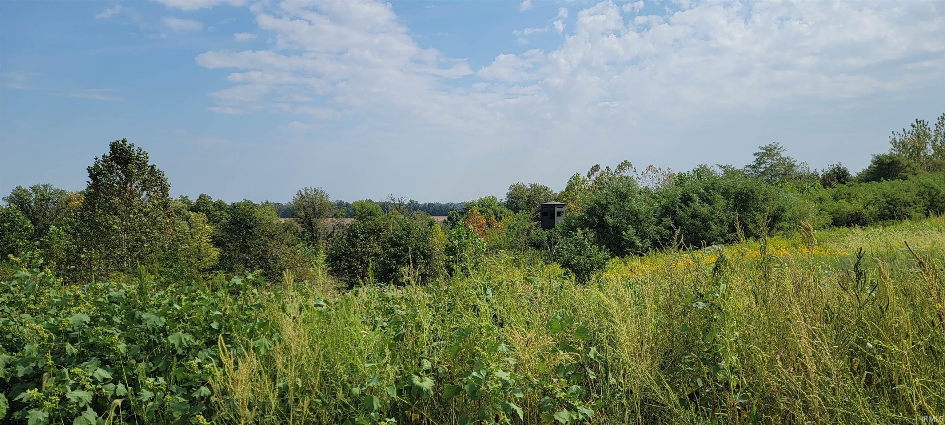 North Mine Road Bicknell, IN 47512 - Photo 7 of 16 Gallery Image 7