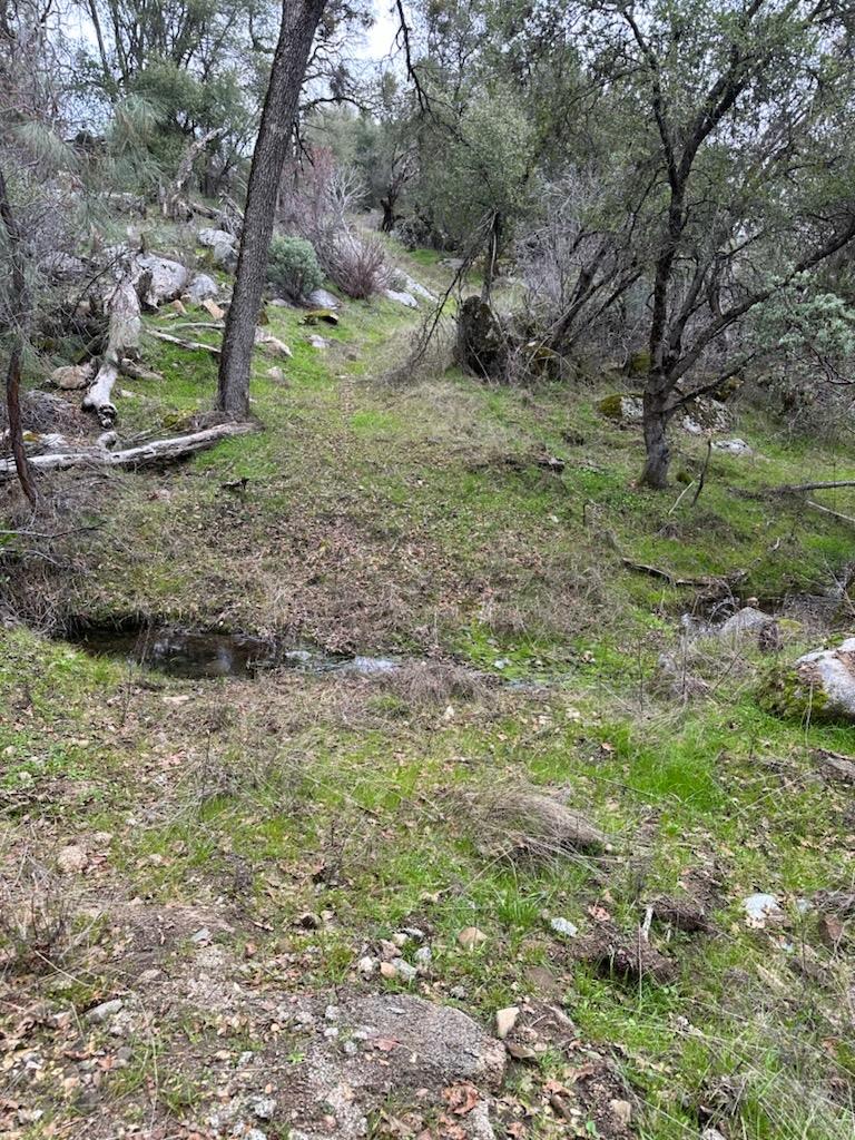 4822 Indian Peak Road Mariposa, CA 95338 - Photo 11 of 12