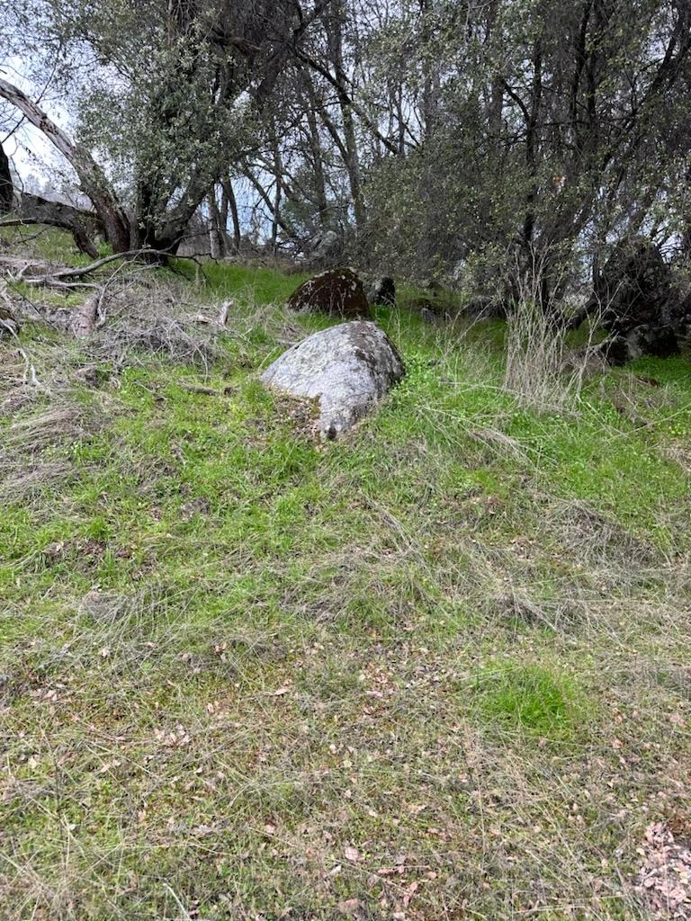 4822 Indian Peak Road Mariposa, CA 95338 - Photo 12 of 12