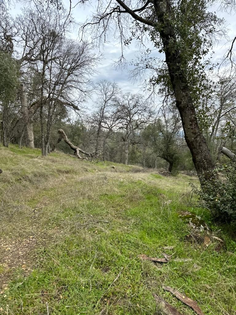 4822 Indian Peak Road Mariposa, CA 95338 - Photo 3 of 12