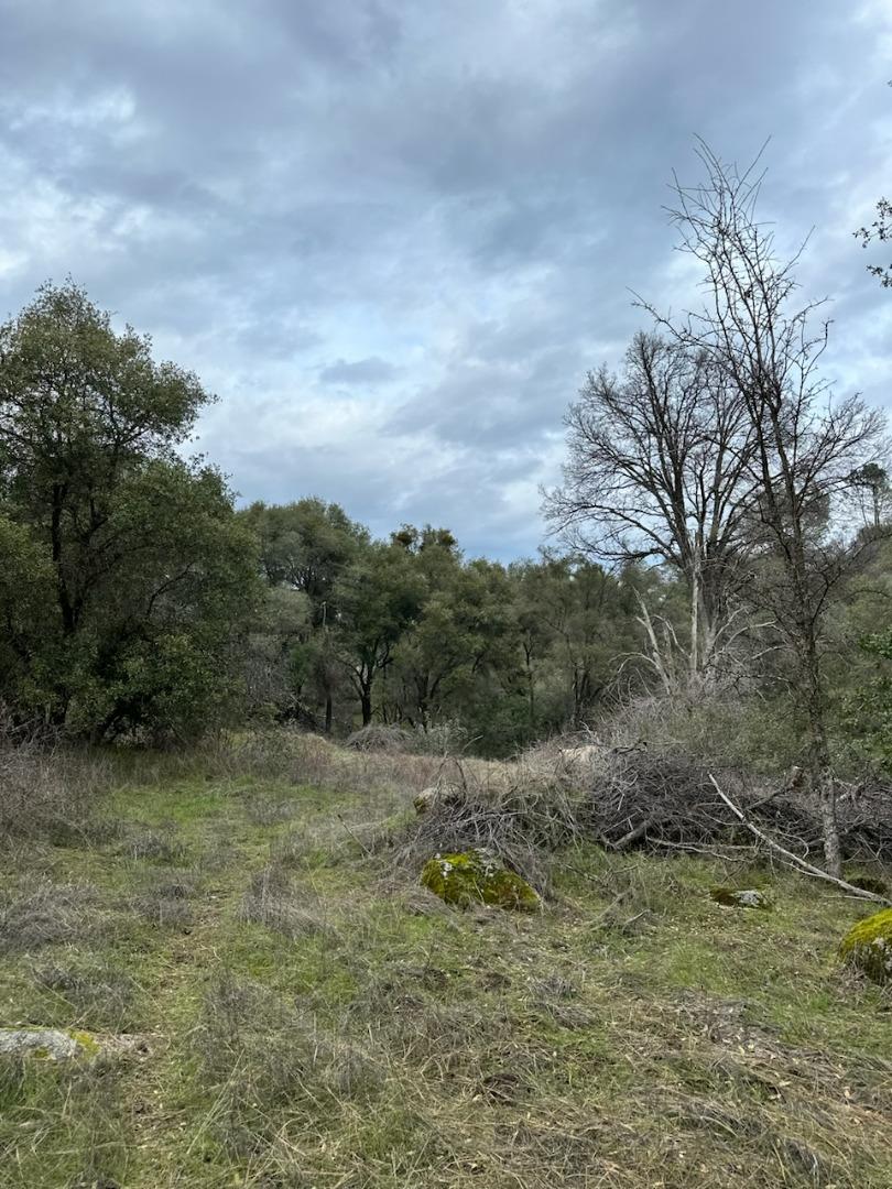 4822 Indian Peak Road Mariposa, CA 95338 - Photo 4 of 12