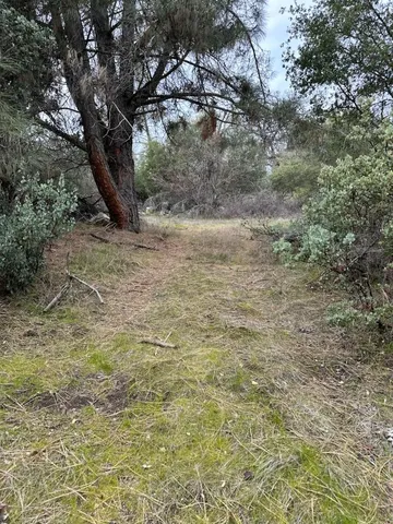 $99,000 | 4822 Indian Peak Road, Mariposa, CA 95338
