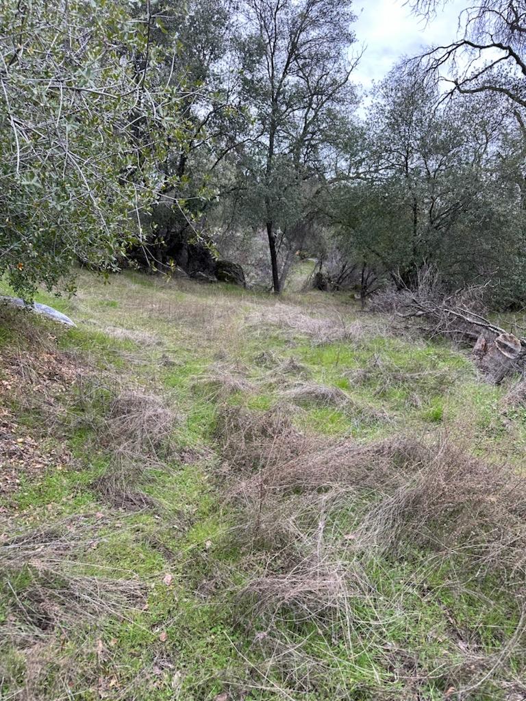 4822 Indian Peak Road Mariposa, CA 95338 - Photo 9 of 12