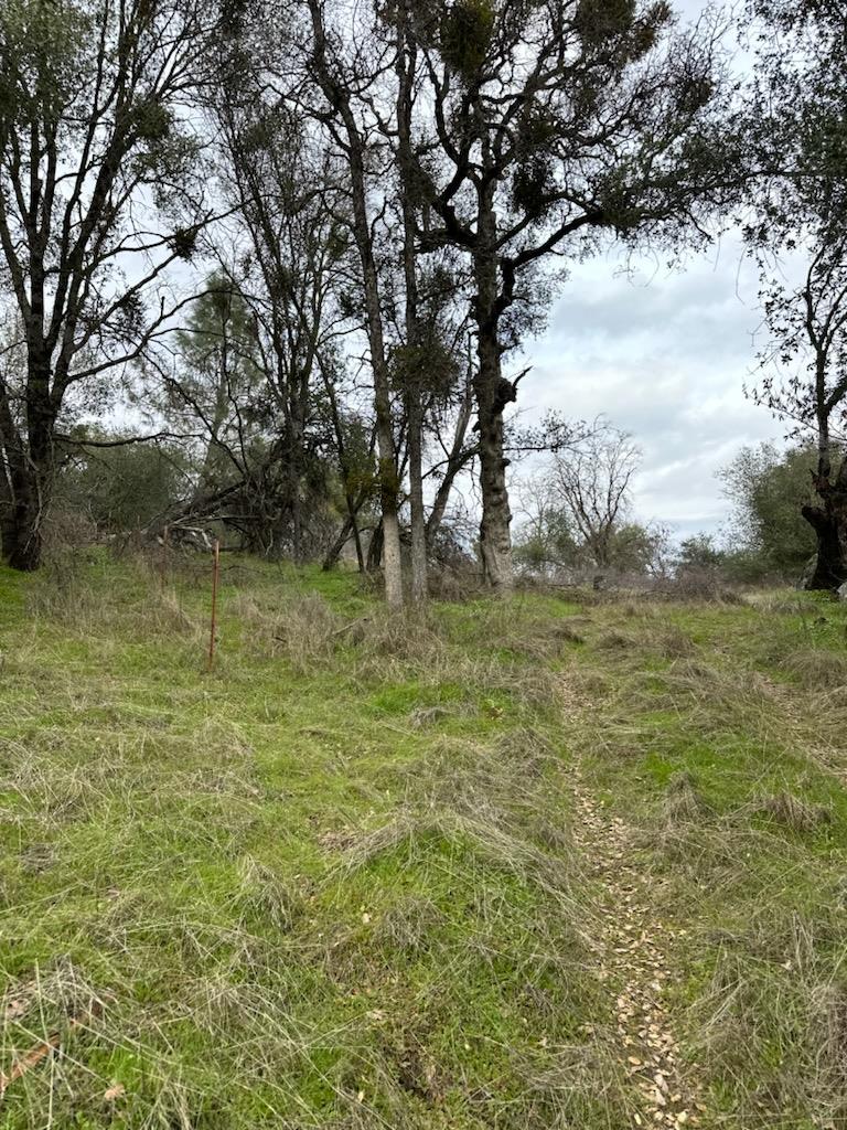 4822 Indian Peak Road Mariposa, CA 95338 - Photo 10 of 12