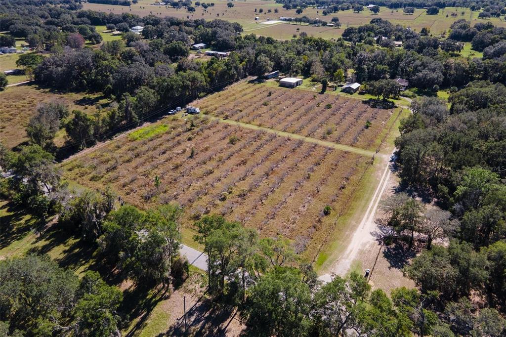 18250 Ravenswood Road Altoona, FL 32702 - Photo 14 of 41