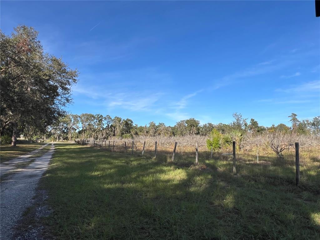 18250 Ravenswood Road Altoona, FL 32702 - Photo 17 of 41