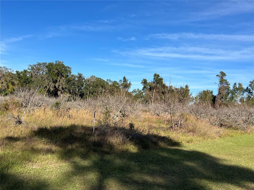 18250 Ravenswood Road Altoona, FL 32702 - Photo 18 of 41