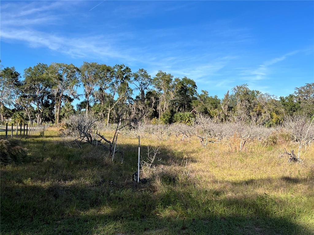 18250 Ravenswood Road Altoona, FL 32702 - Photo 19 of 41