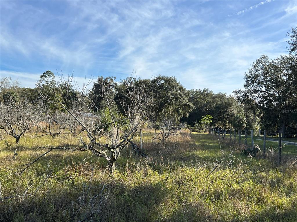 18250 Ravenswood Road Altoona, FL 32702 - Photo 20 of 41