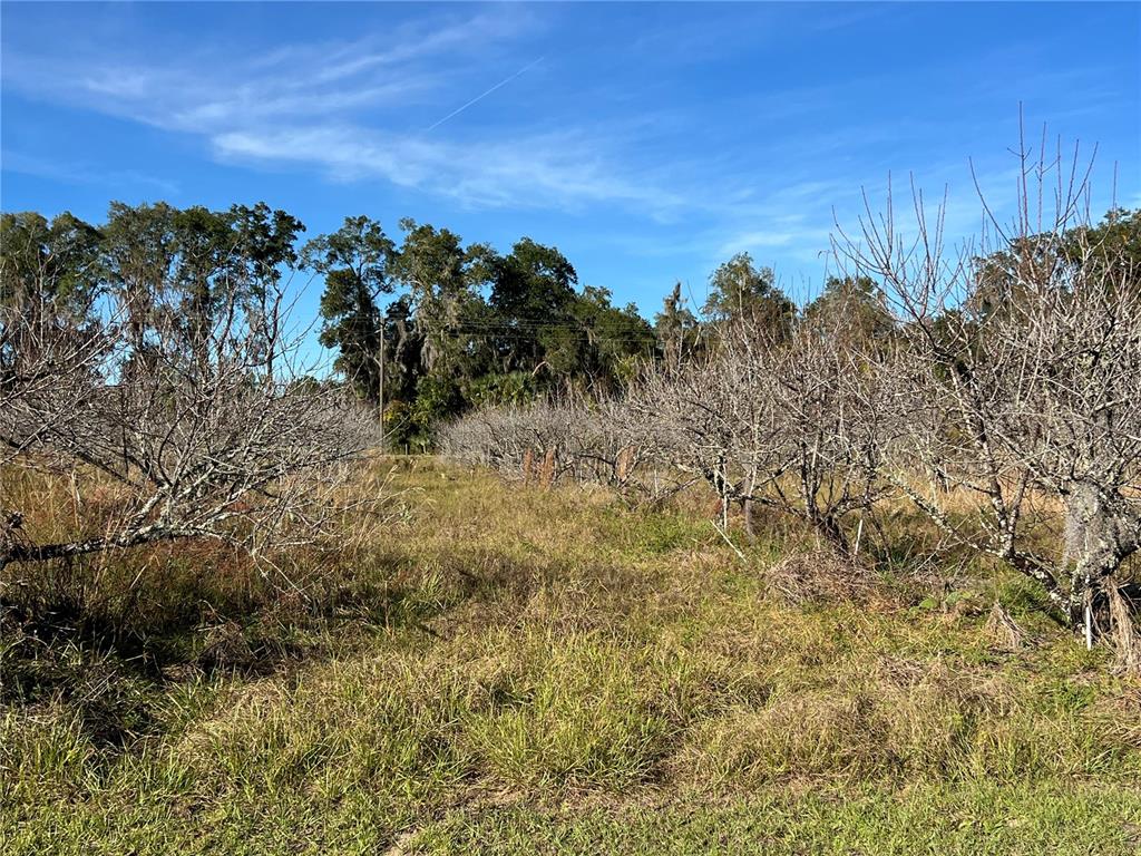 18250 Ravenswood Road Altoona, FL 32702 - Photo 22 of 41