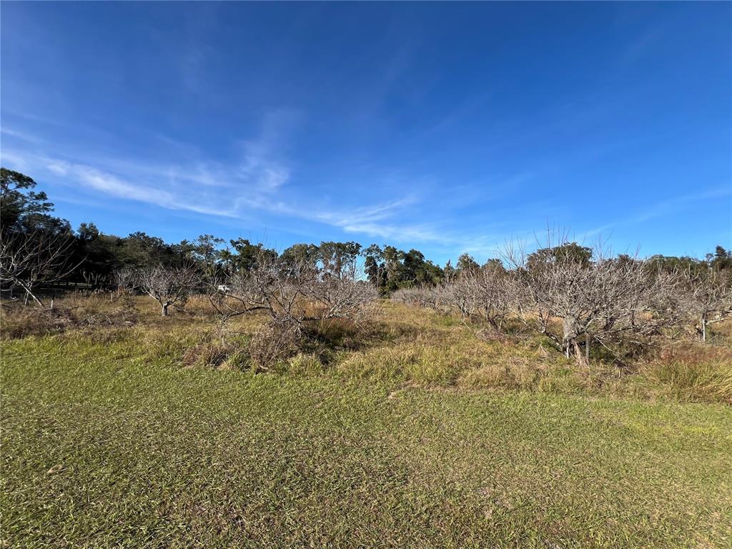 18250 Ravenswood Road Altoona, FL 32702 - Photo 23 of 41