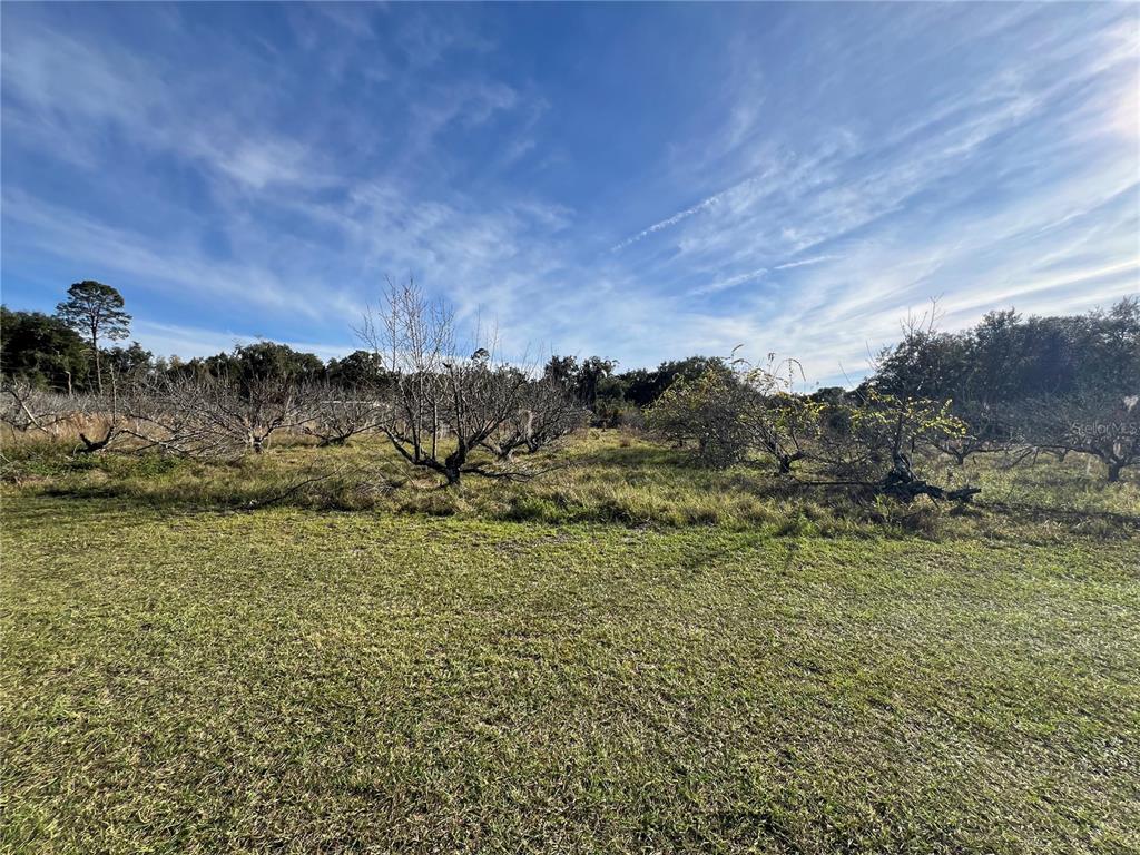 18250 Ravenswood Road Altoona, FL 32702 - Photo 25 of 41