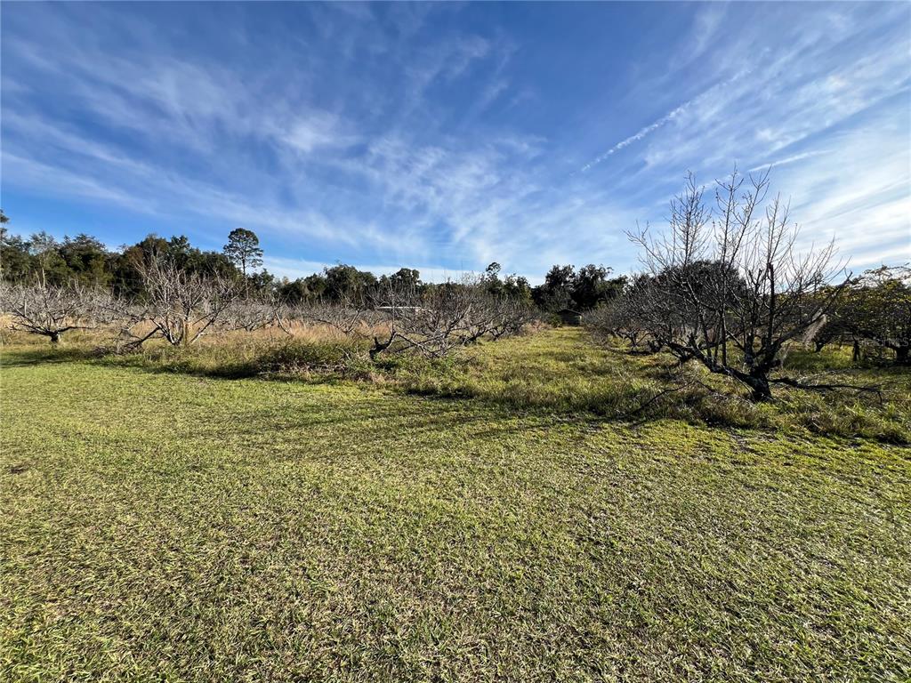 18250 Ravenswood Road Altoona, FL 32702 - Photo 27 of 41