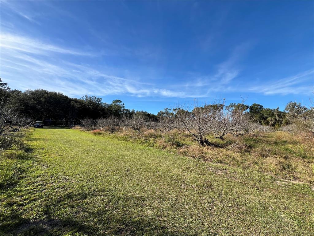 18250 Ravenswood Road Altoona, FL 32702 - Photo 29 of 41