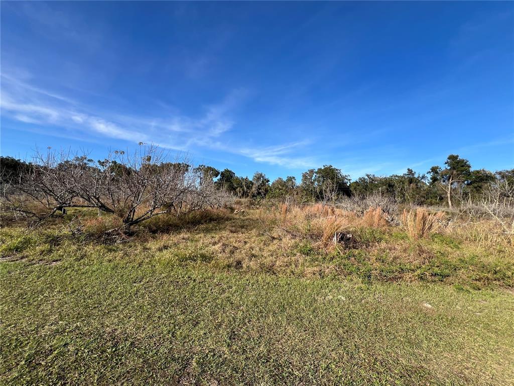 18250 Ravenswood Road Altoona, FL 32702 - Photo 30 of 41